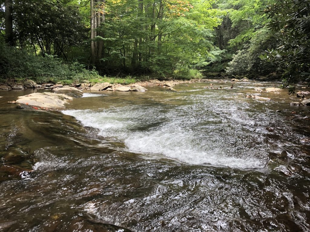Image of Helton Creek in Ashe County, NC - taken in July.